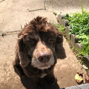 Meet your Posher, Kate